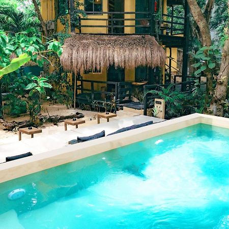 Terasu Riviera Maya Solidaridad Eksteriør billede